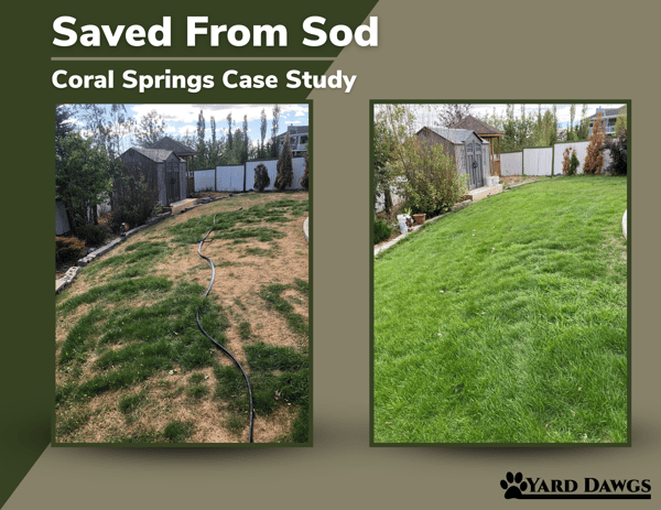 Saved From Sod