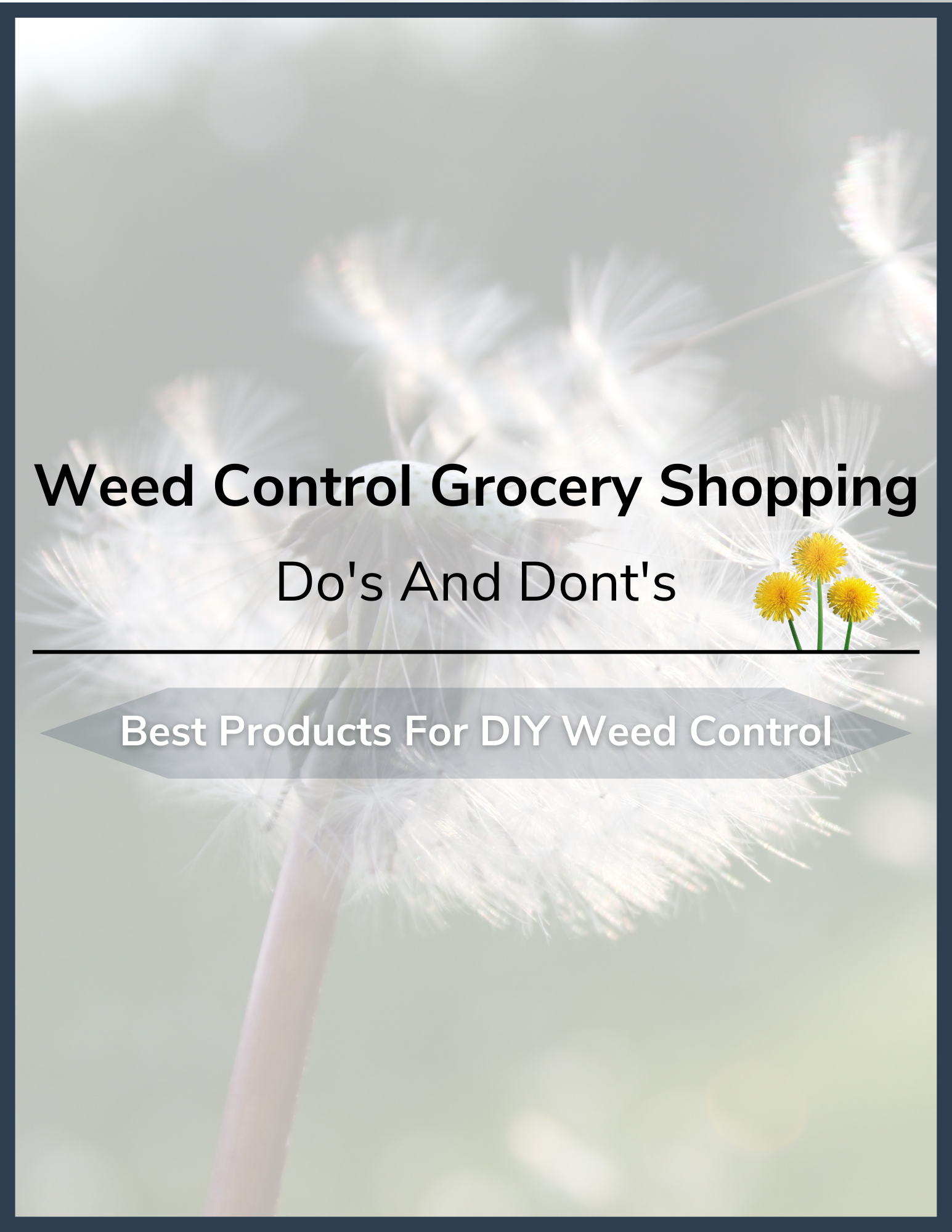 Weed Control Grocery List