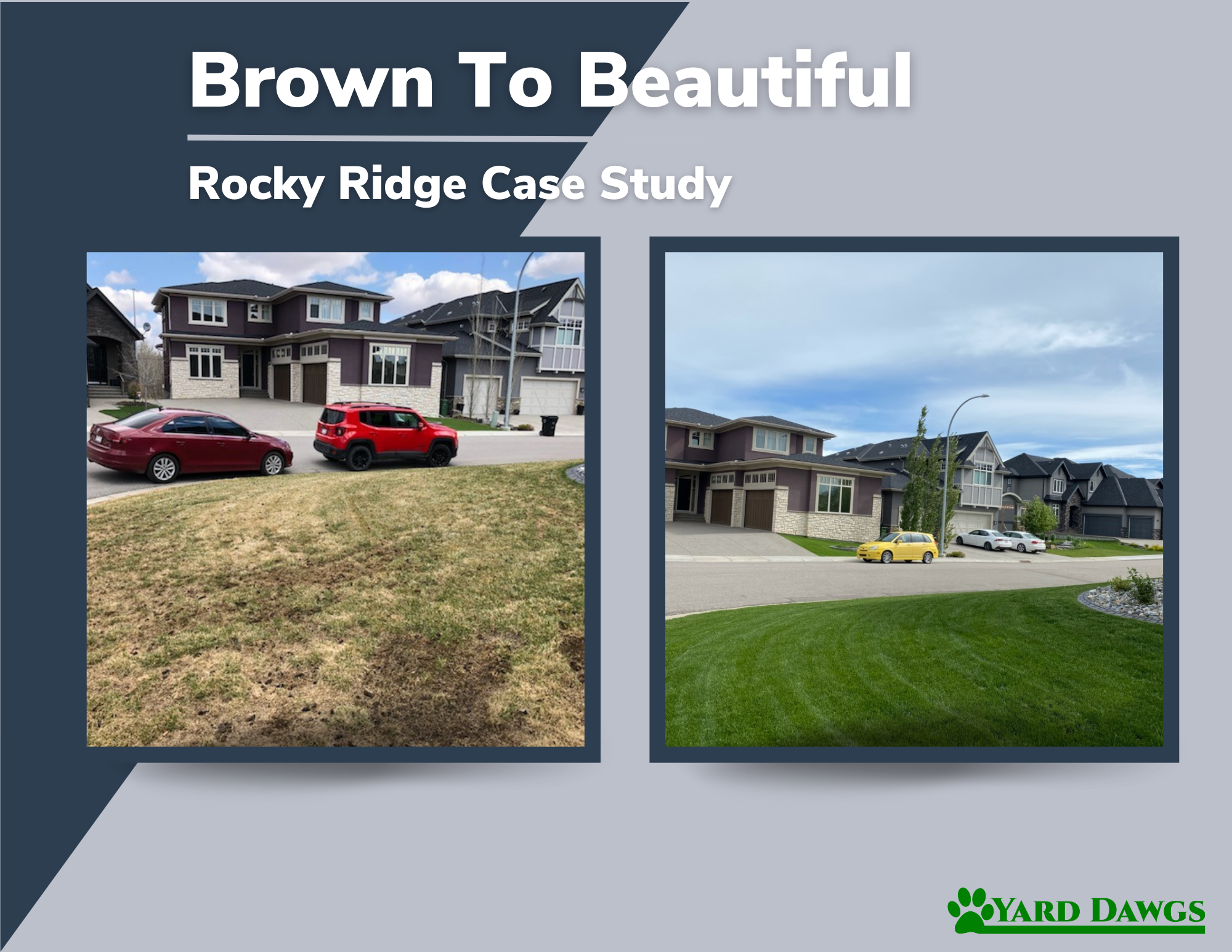 Brown To Beautiful Case Study