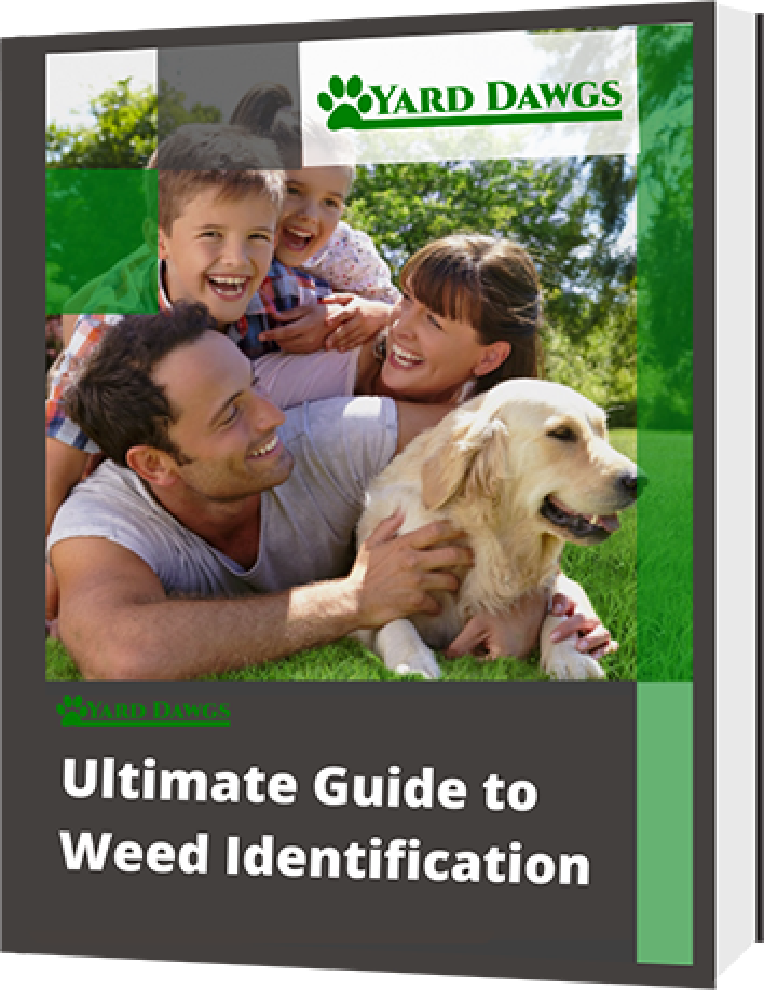Weed ID Guide