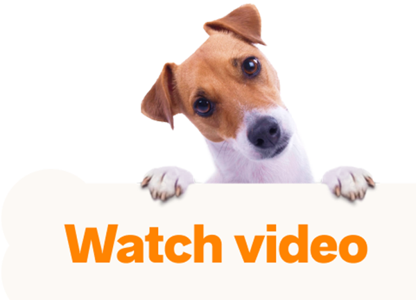 Watch video dog image
